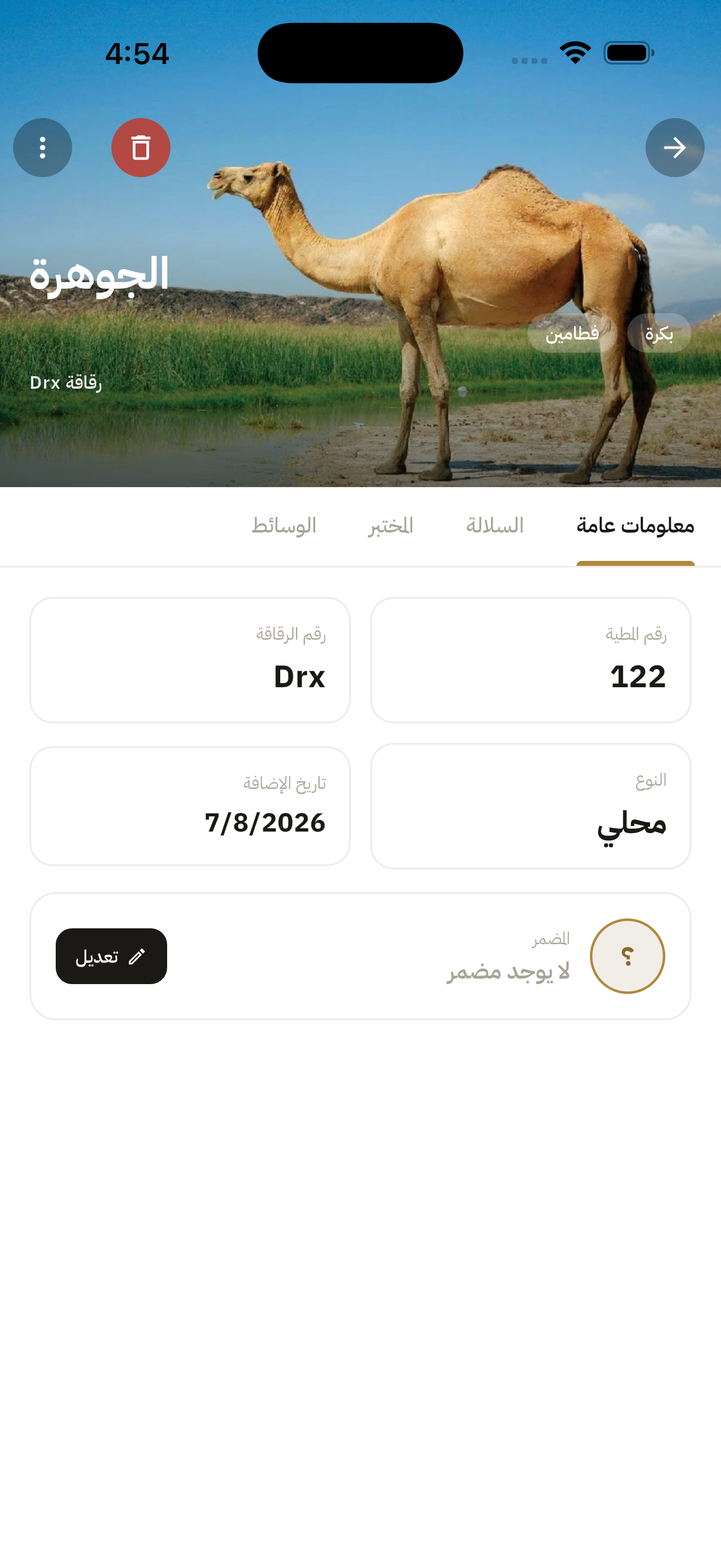 الملف التفصيلي وبيانات التضمير
