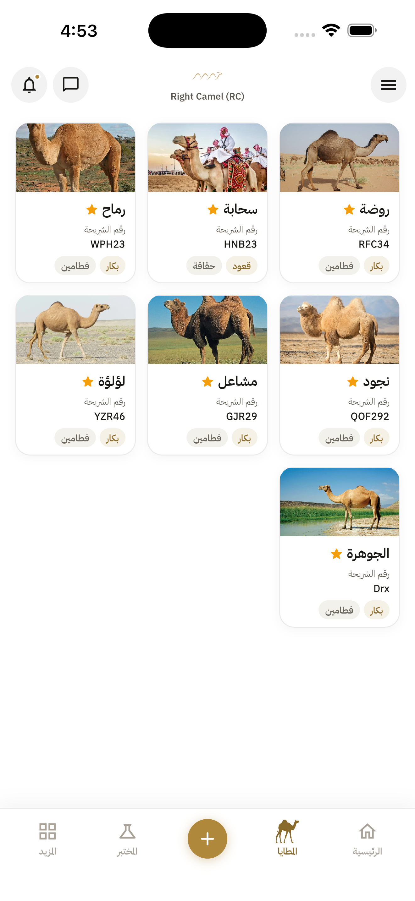 Camel Directory Screen