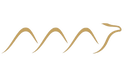 Right Camel Official Logo